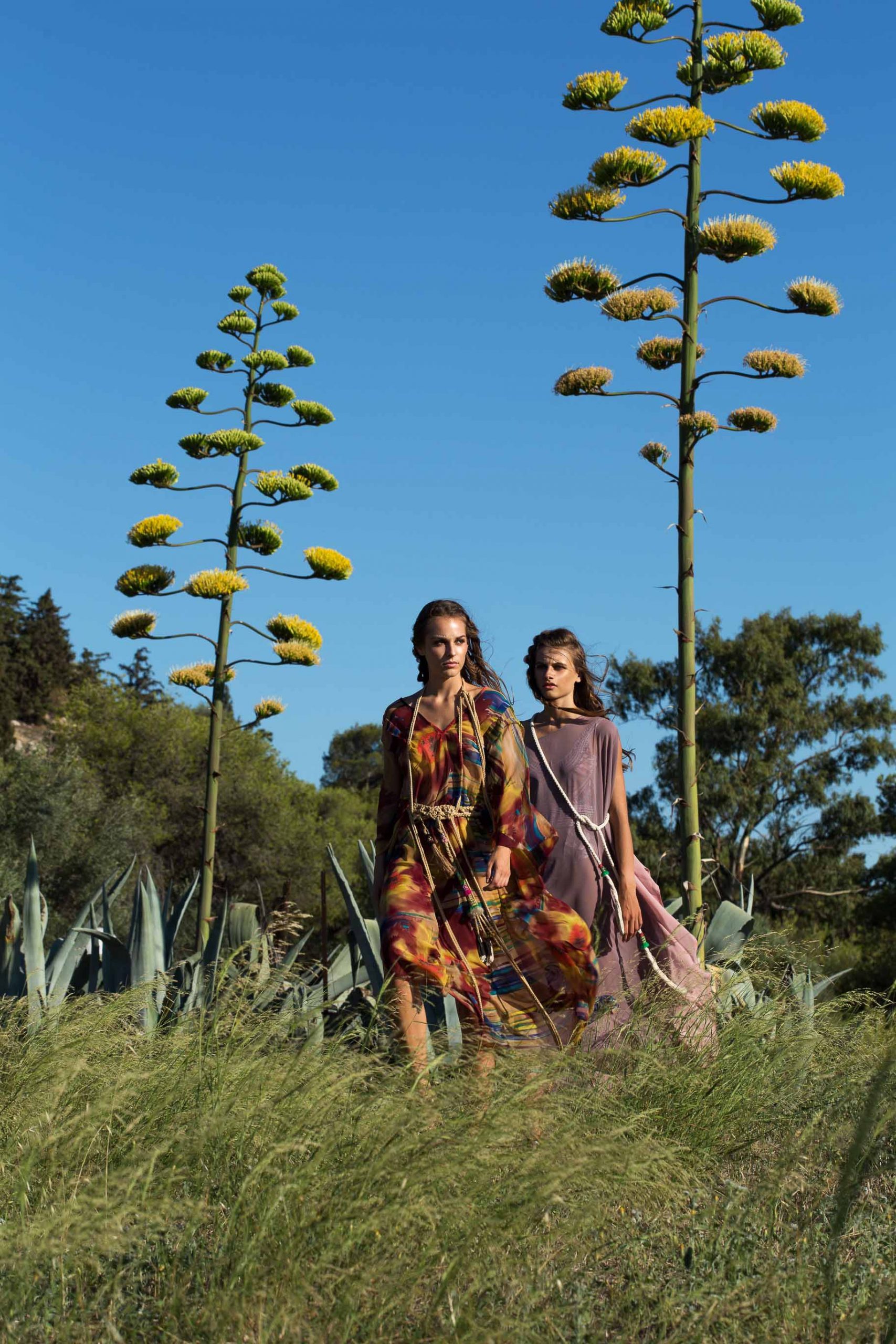 BOHO